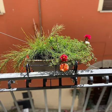 Bed & Breakfast Via Roma Viggianello