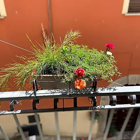 B&B Via Roma