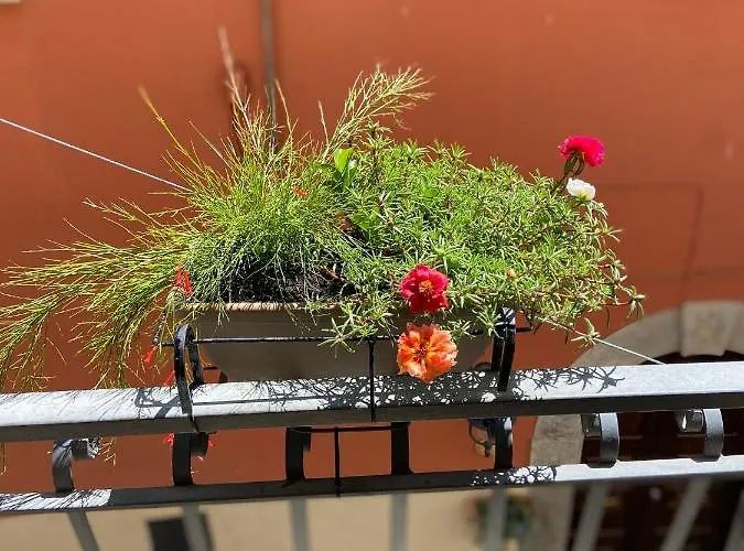 Bed & Breakfast Via Roma Viggianello